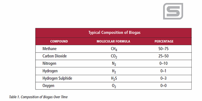 Precise Biogas Flow Measurement